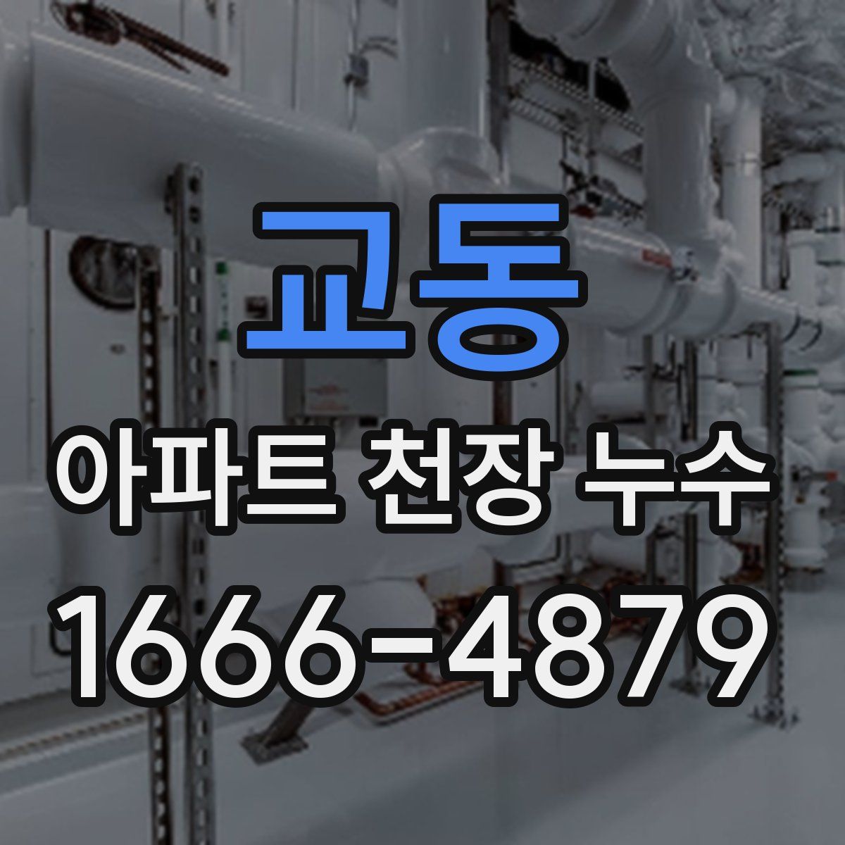 교동 아파트 천장 누수