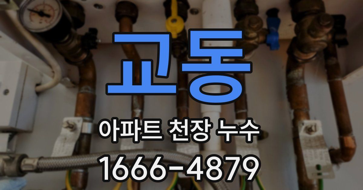 교동 아파트 천장 누수