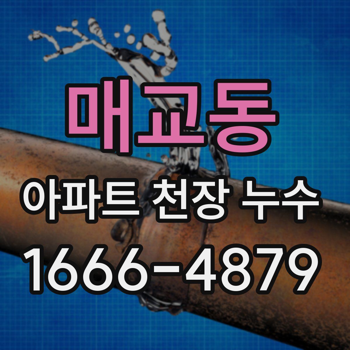 매교동 아파트 천장 누수