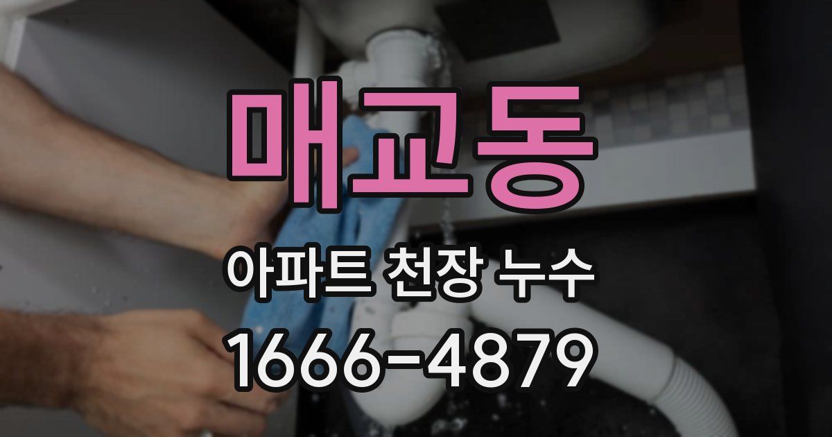 매교동 아파트 천장 누수