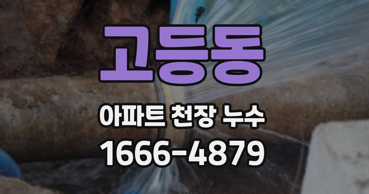 고등동 아파트 천장 누수