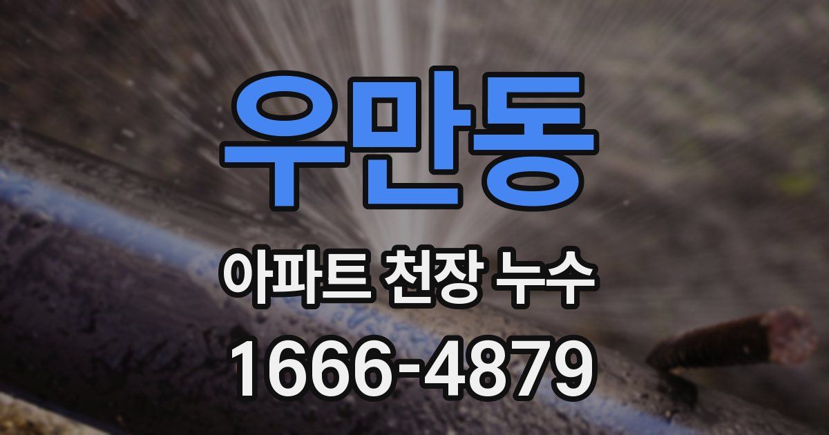 우만동 아파트 천장 누수