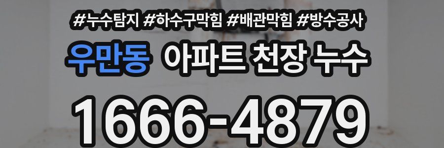 우만동 아파트 천장 누수