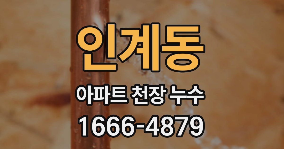 인계동 아파트 천장 누수
