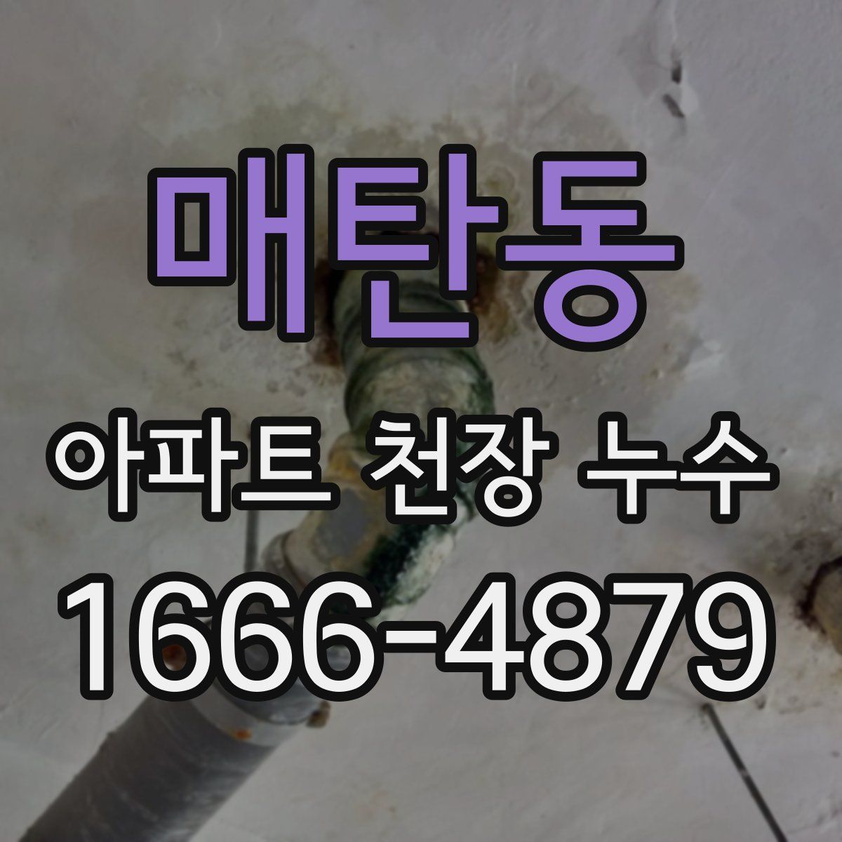 매탄동 아파트 천장 누수