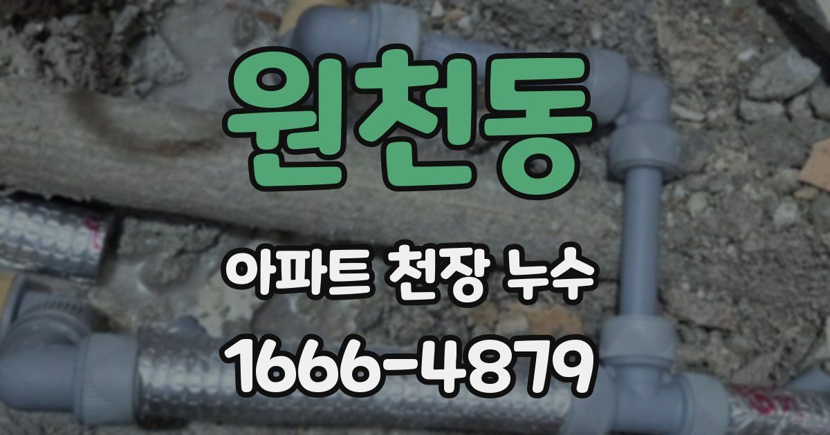 원천동 아파트 천장 누수