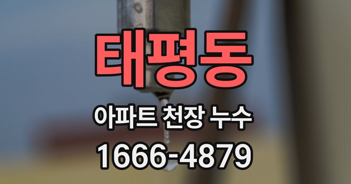 태평동 아파트 천장 누수