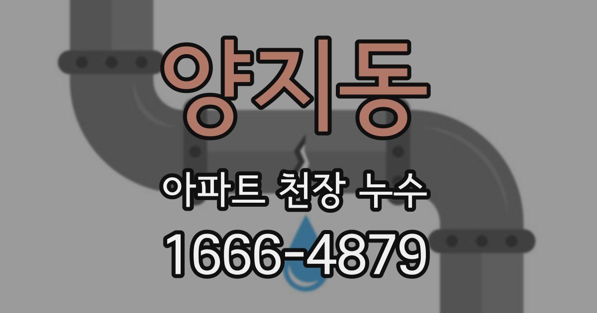 양지동 아파트 천장 누수