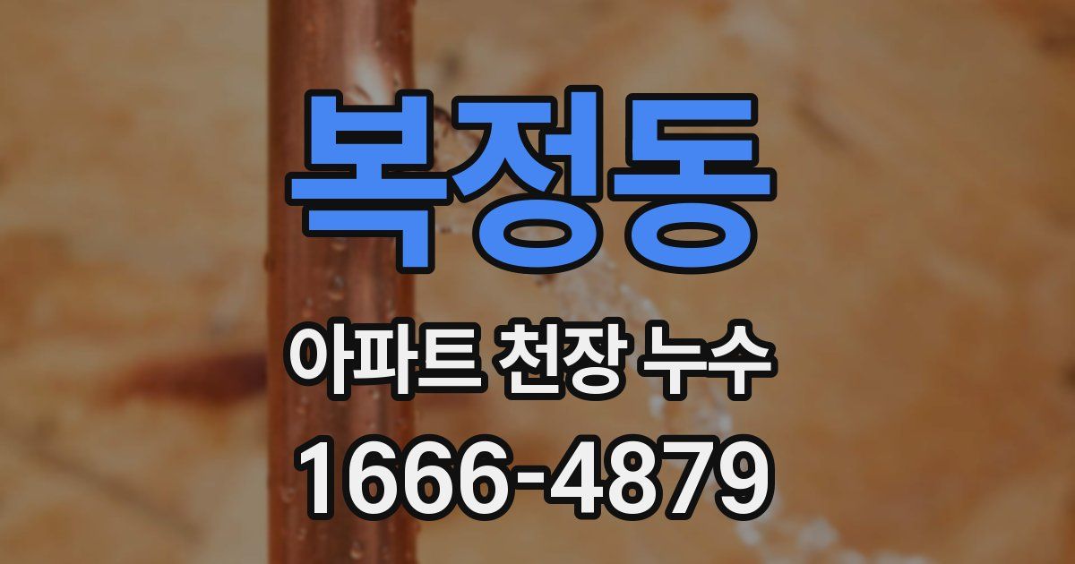 복정동 아파트 천장 누수