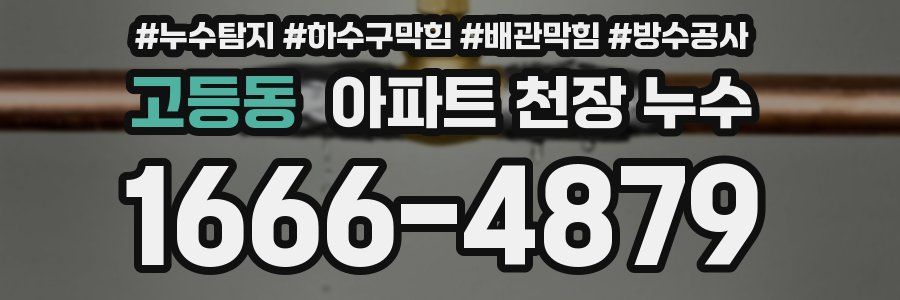 고등동 아파트 천장 누수