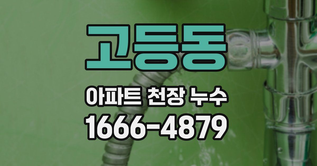 고등동 아파트 천장 누수