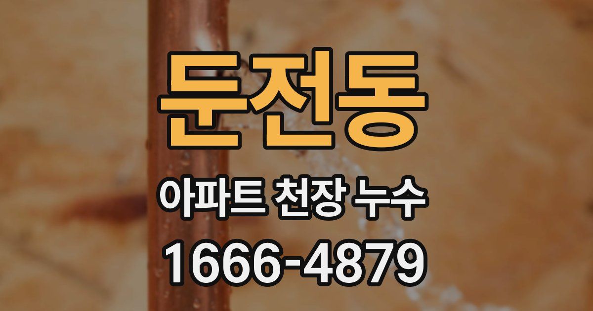 둔전동 아파트 천장 누수