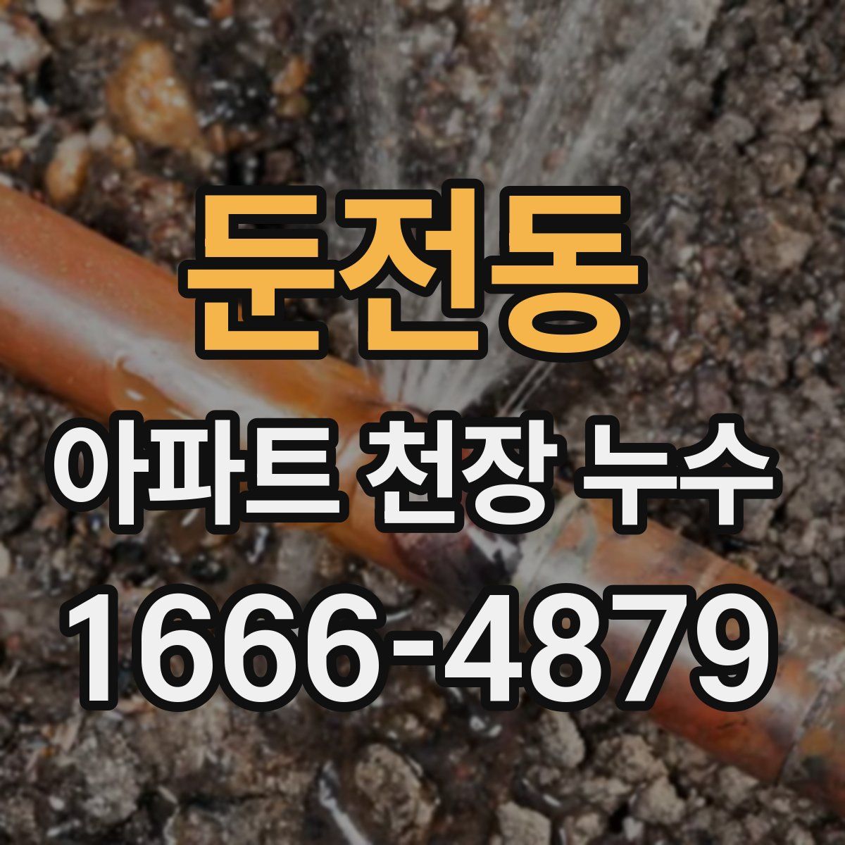 둔전동 아파트 천장 누수
