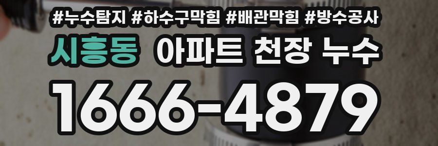시흥동 아파트 천장 누수