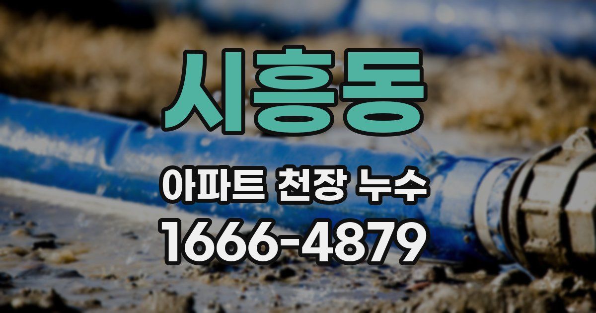시흥동 아파트 천장 누수