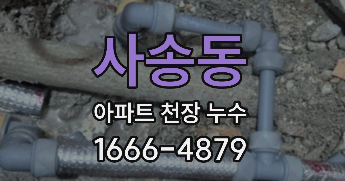 사송동 아파트 천장 누수
