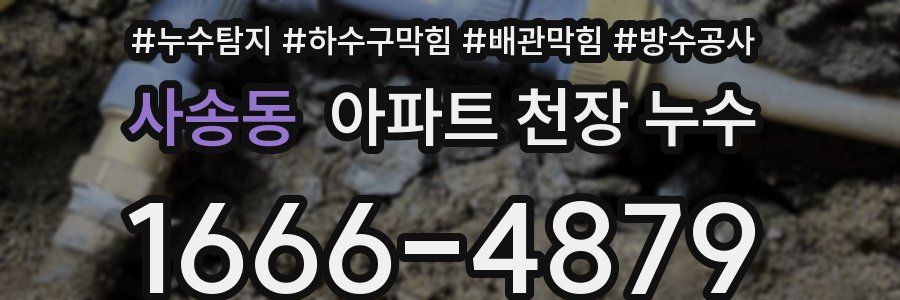 사송동 아파트 천장 누수