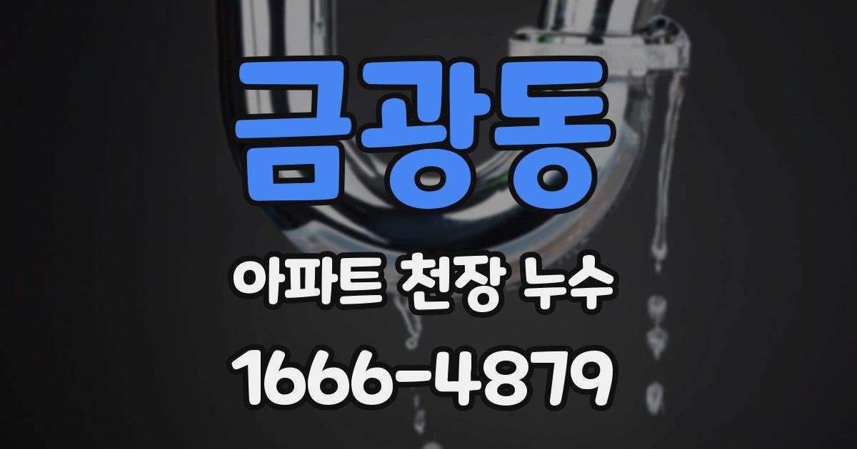 금광동 아파트 천장 누수