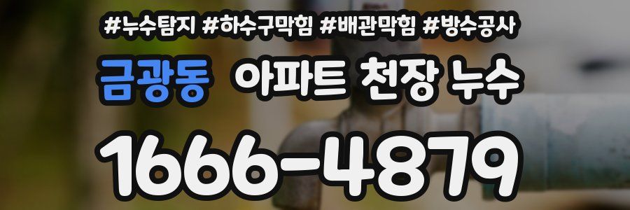 금광동 아파트 천장 누수