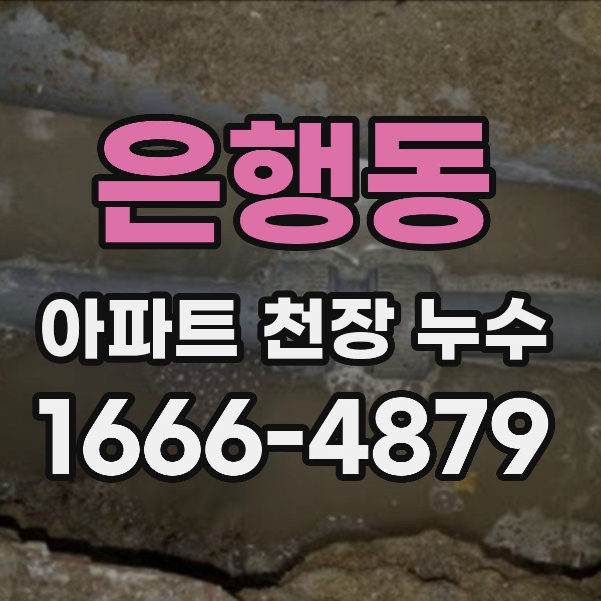 은행동 아파트 천장 누수