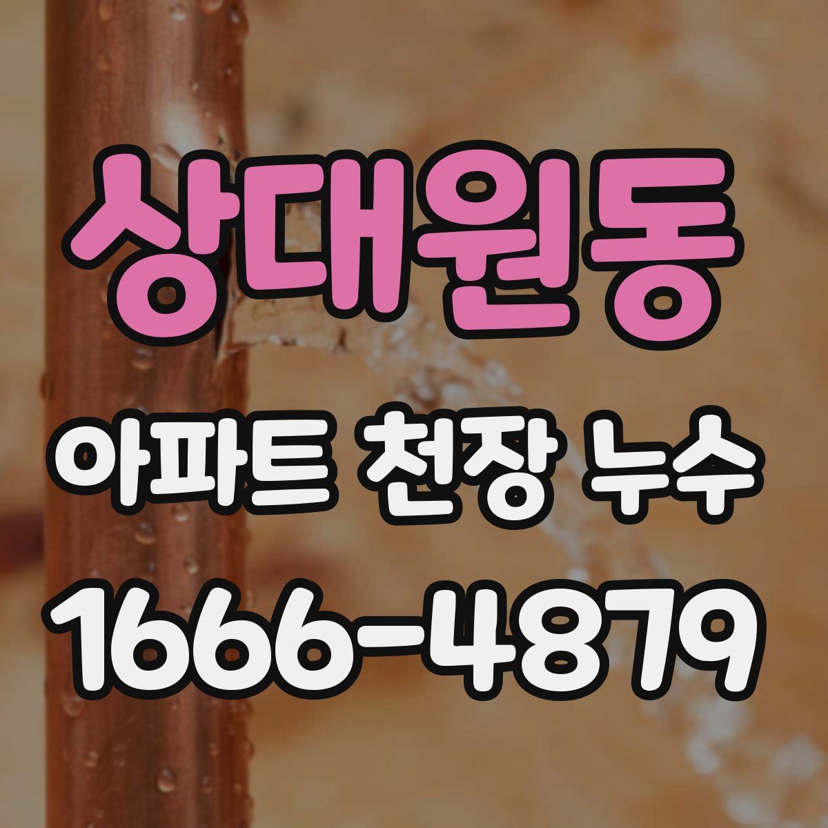 상대원동 아파트 천장 누수