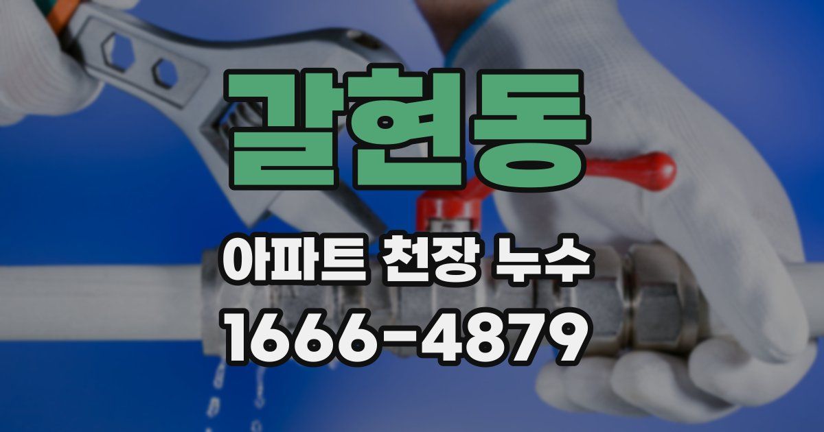 갈현동 아파트 천장 누수