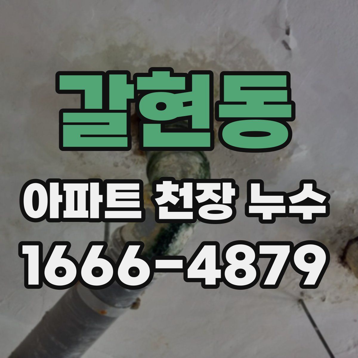 갈현동 아파트 천장 누수