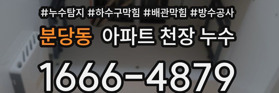 분당동 아파트 천장 누수