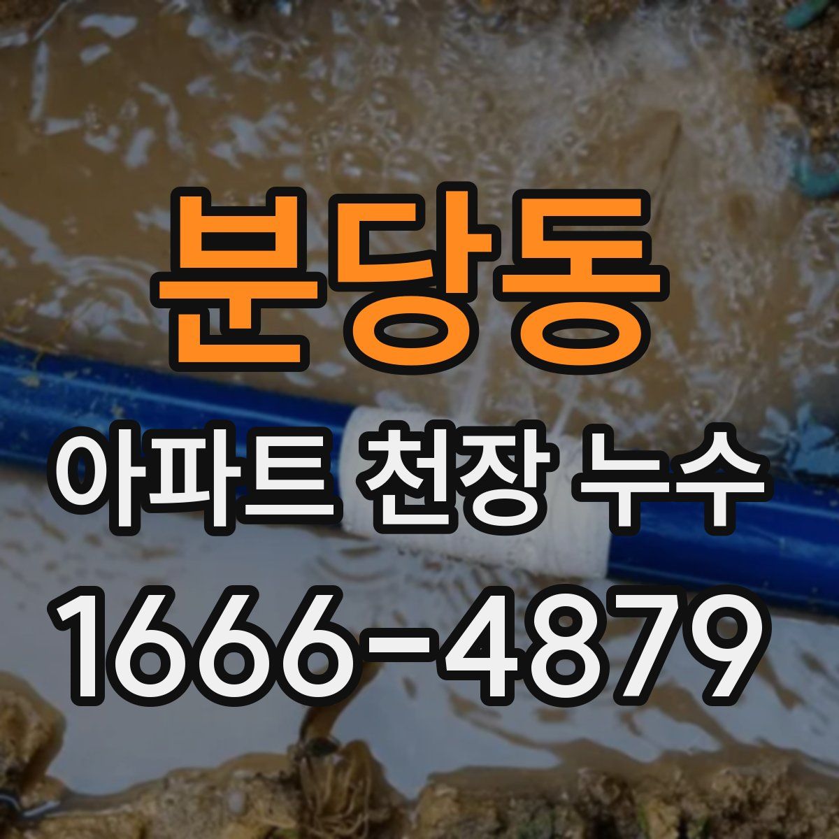 분당동 아파트 천장 누수