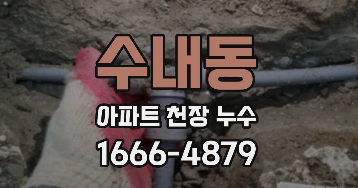 수내동 아파트 천장 누수