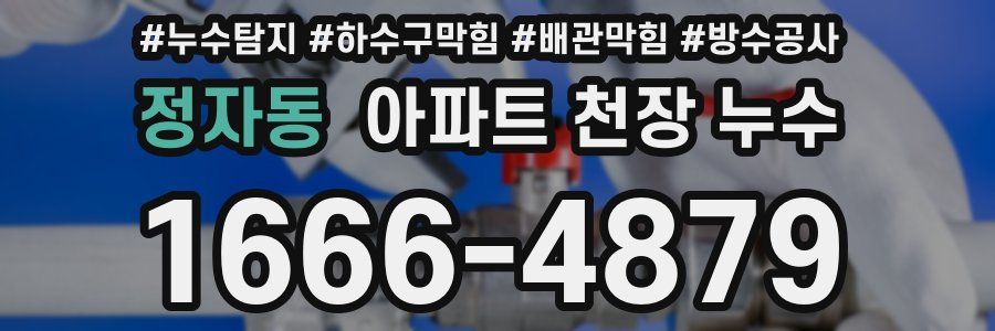 정자동 아파트 천장 누수