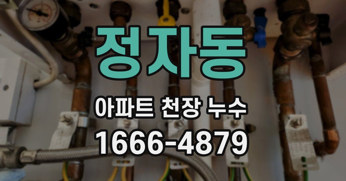 정자동 아파트 천장 누수