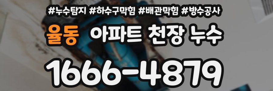 율동 아파트 천장 누수