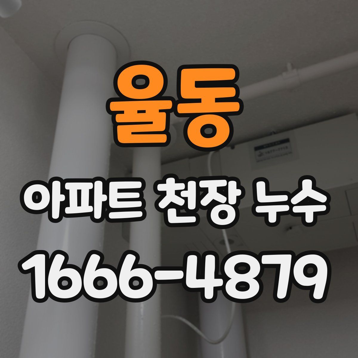 율동 아파트 천장 누수