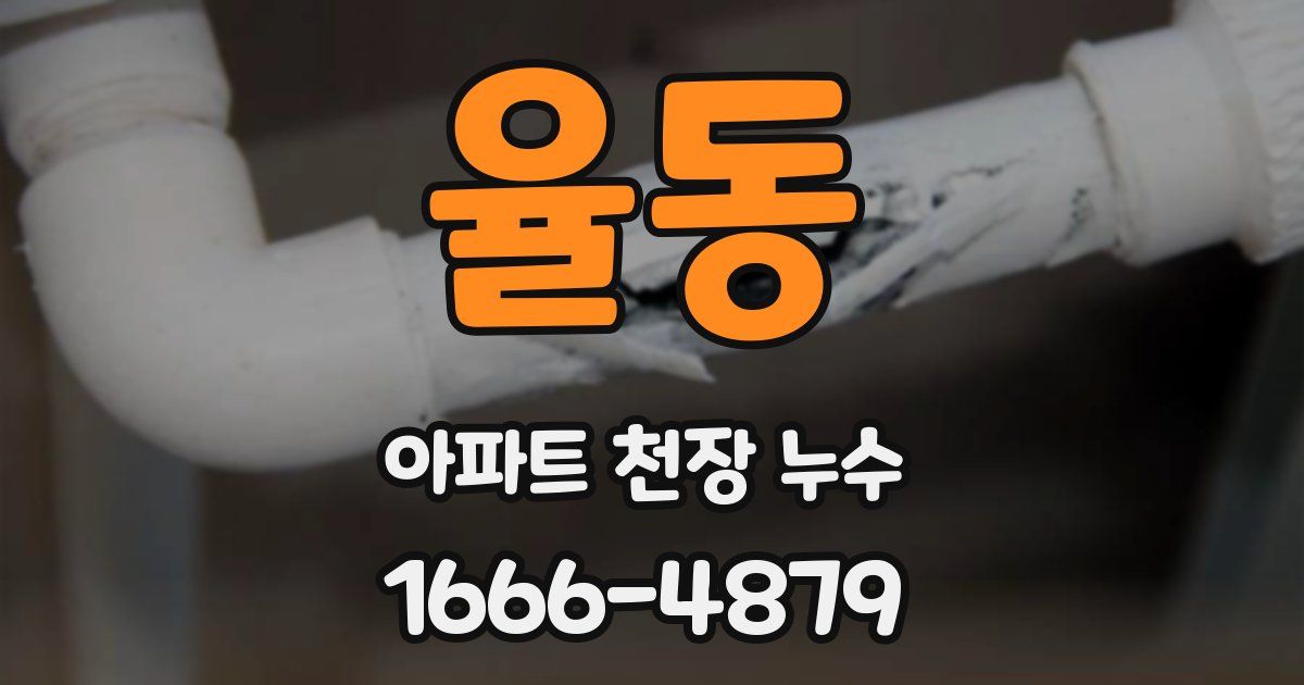 율동 아파트 천장 누수