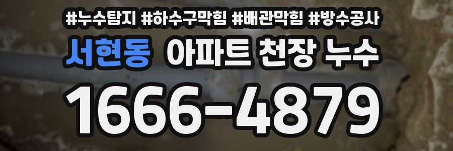 서현동 아파트 천장 누수