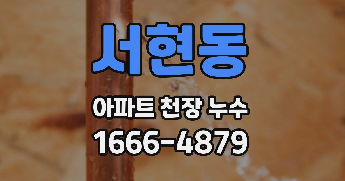 서현동 아파트 천장 누수