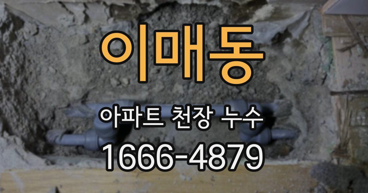이매동 아파트 천장 누수