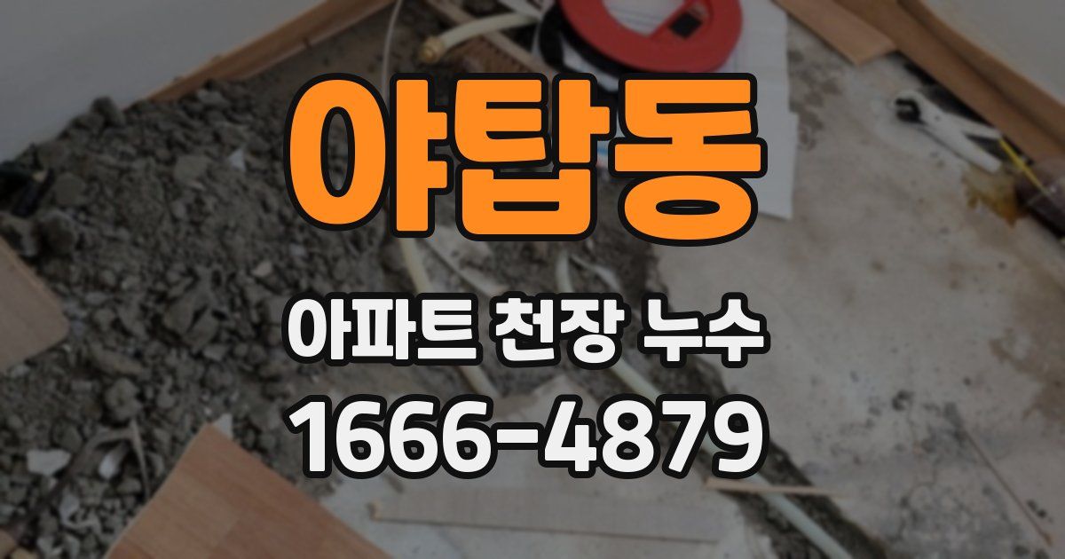 야탑동 아파트 천장 누수