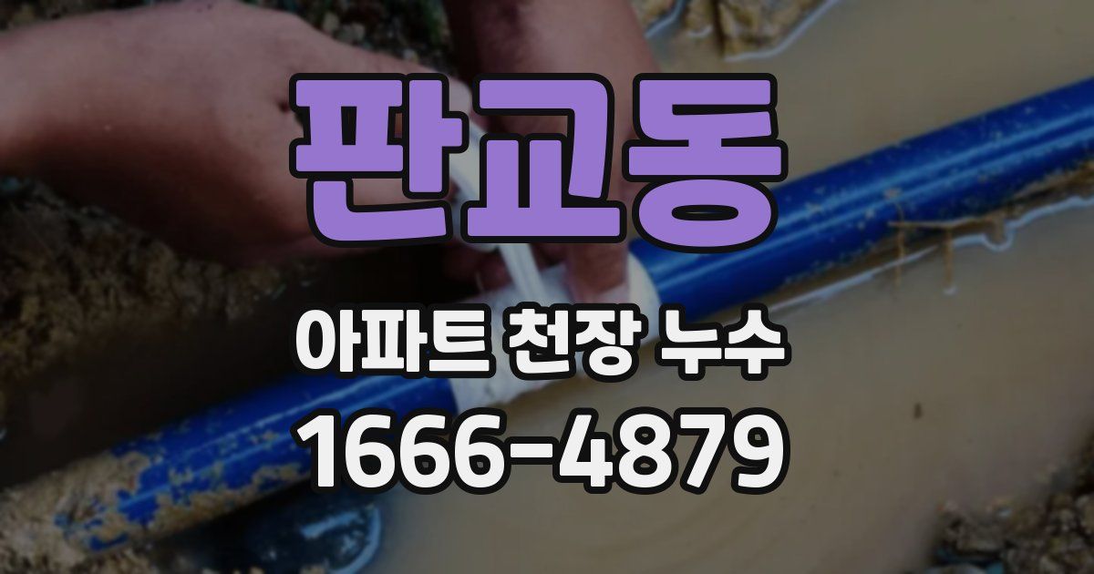 판교동 아파트 천장 누수