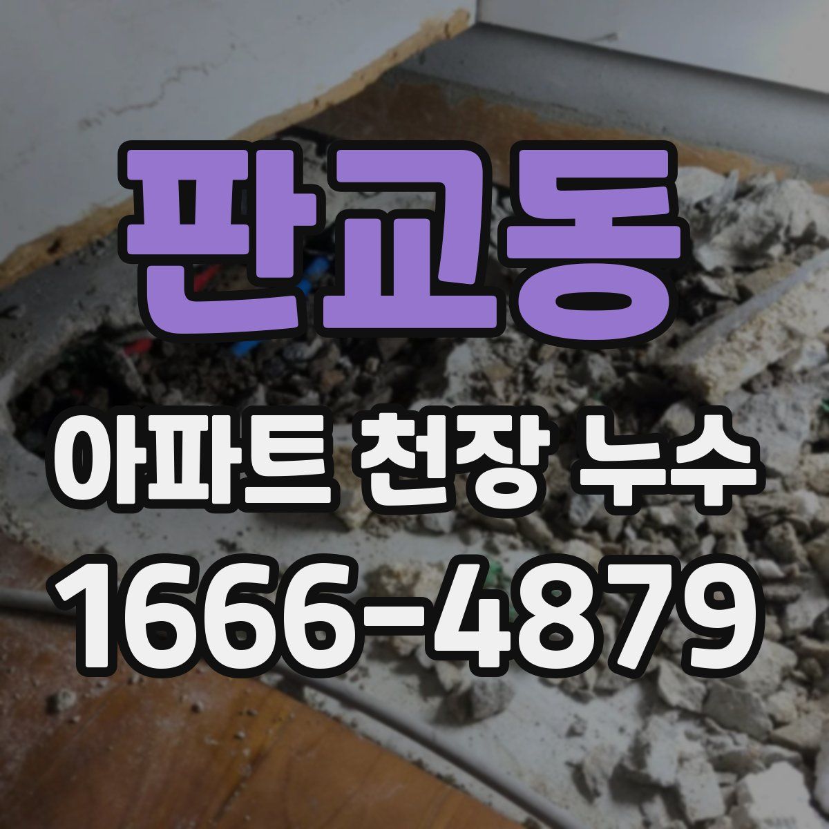 판교동 아파트 천장 누수