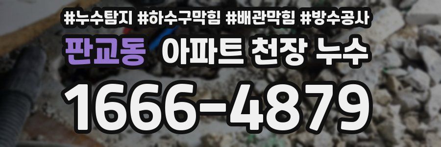 판교동 아파트 천장 누수