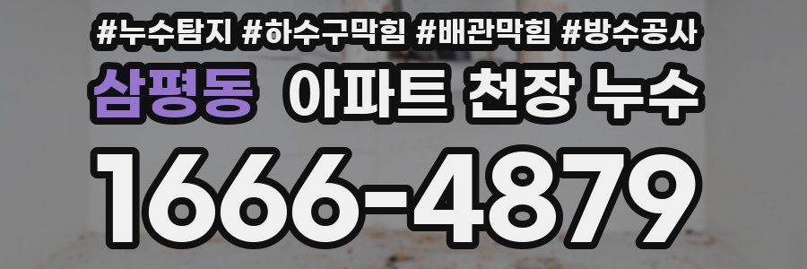 삼평동 아파트 천장 누수
