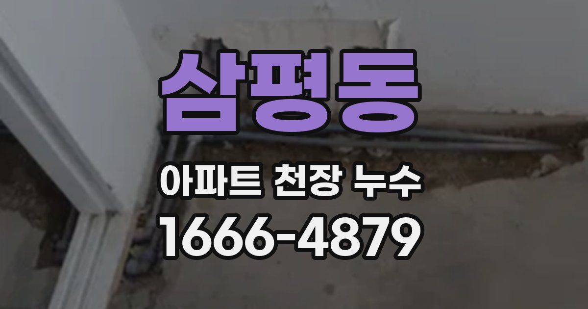 삼평동 아파트 천장 누수