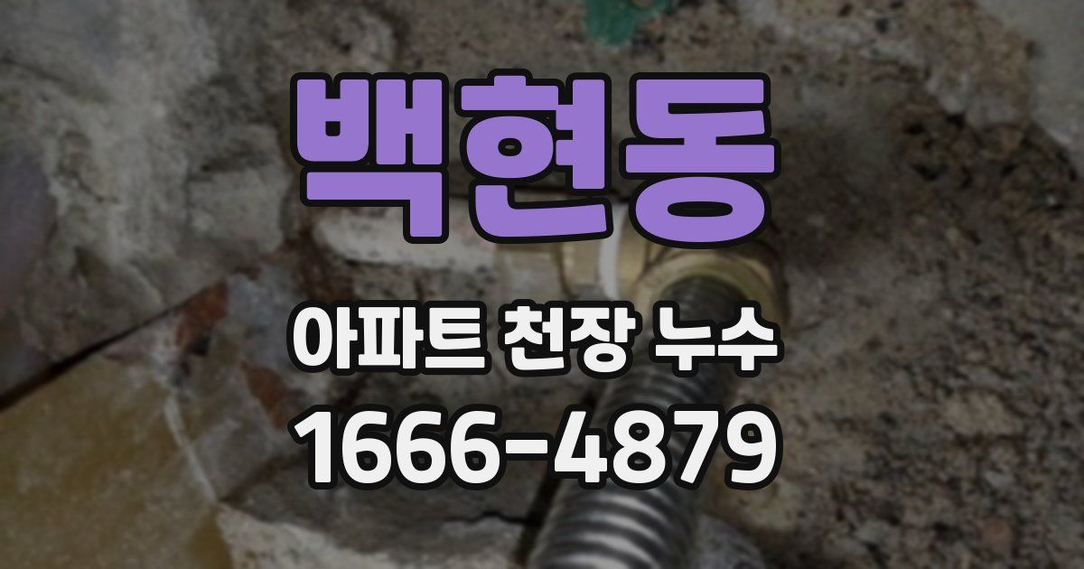백현동 아파트 천장 누수