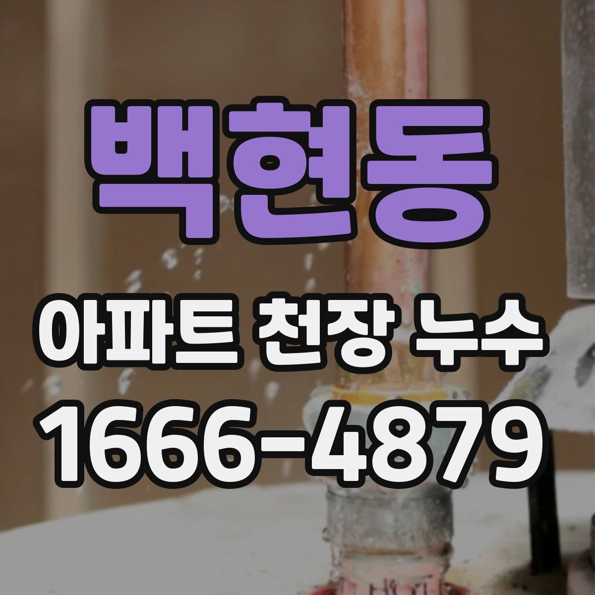 백현동 아파트 천장 누수