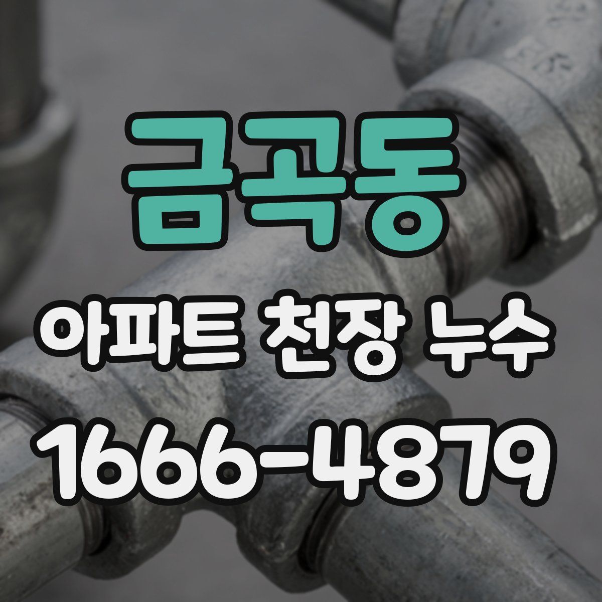 금곡동 아파트 천장 누수
