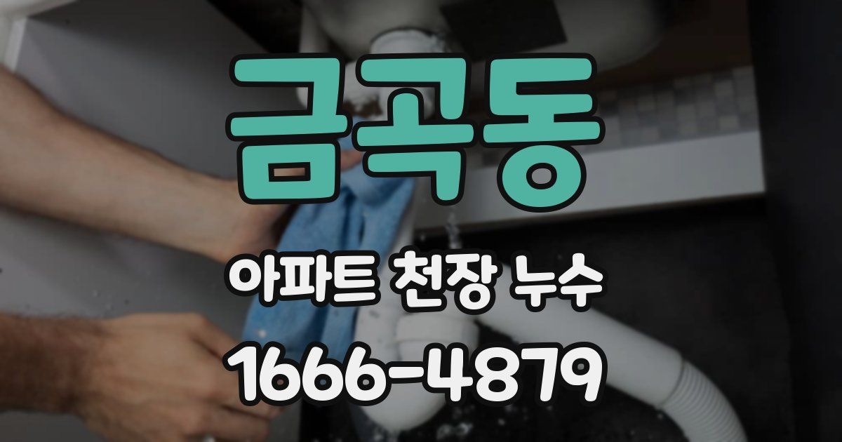 금곡동 아파트 천장 누수