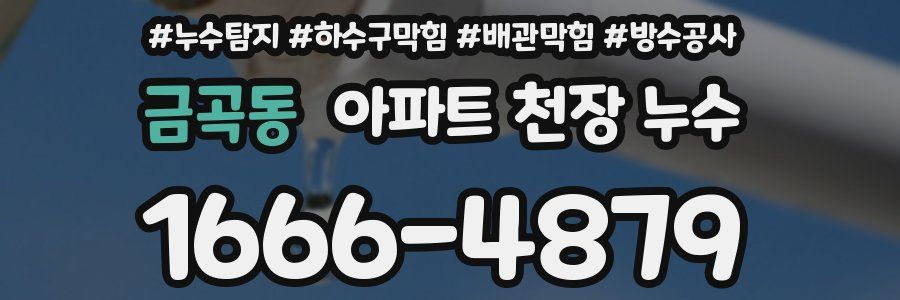 금곡동 아파트 천장 누수