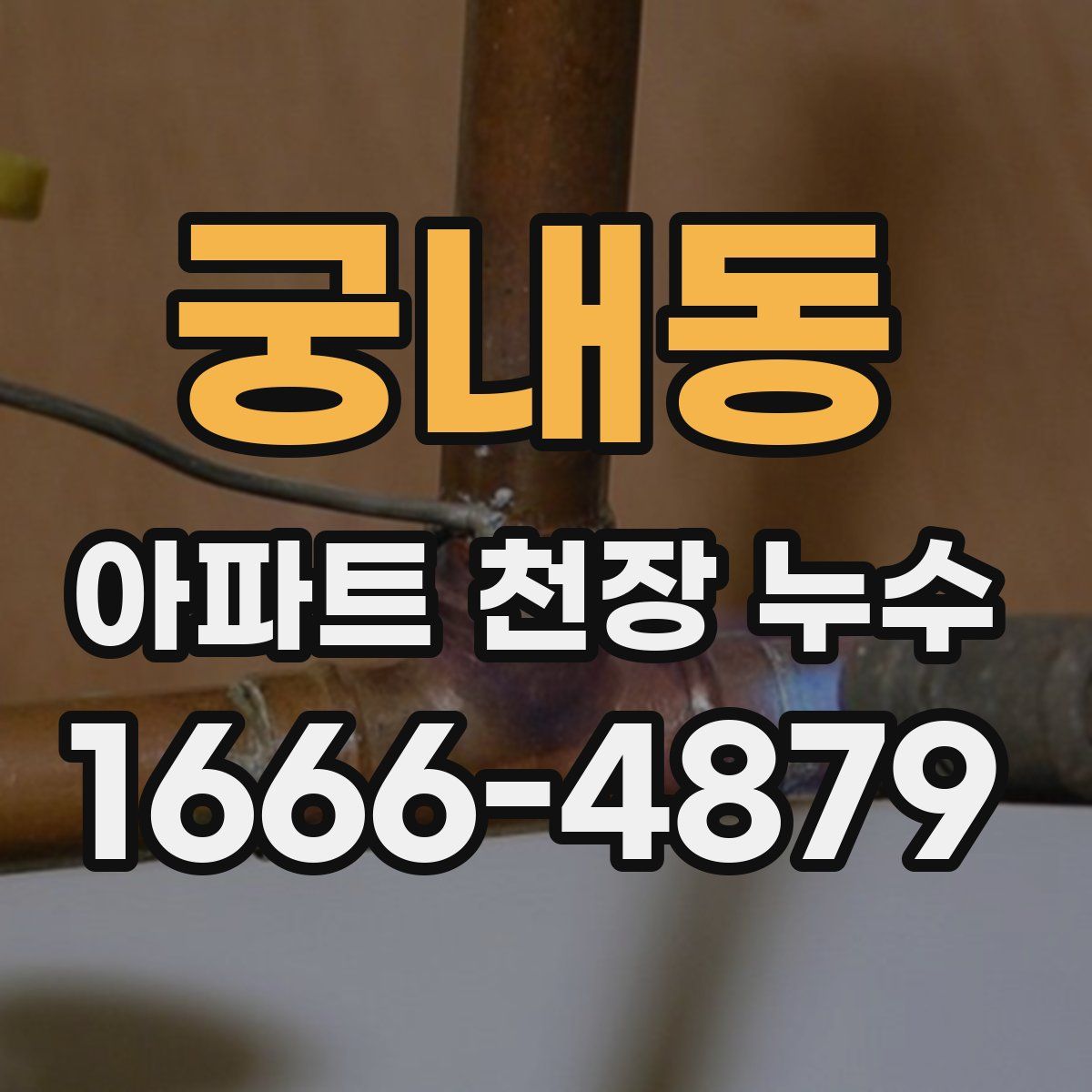 궁내동 아파트 천장 누수